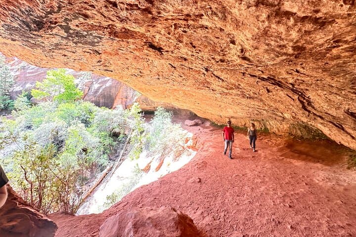 Private Guided Photography and Walking Tour in Zion National Park photo 4