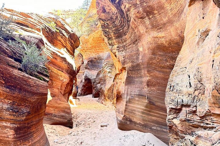 Private Guided Photography and Walking Tour in Zion National Park photo 3