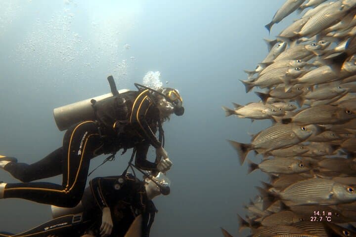 Discover Scuba Diving at Catalina Islands from Tamarindo photo 3