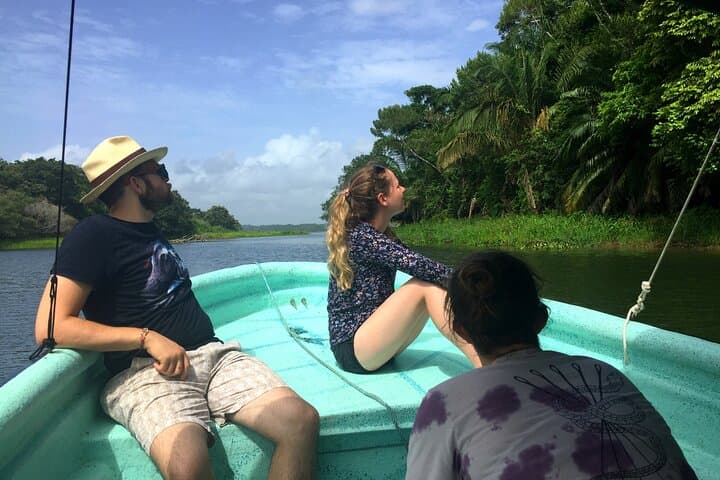 Gatun Lake Wildlife Boat Tour: Sloths, Monkeys & Canal Giants photo 2