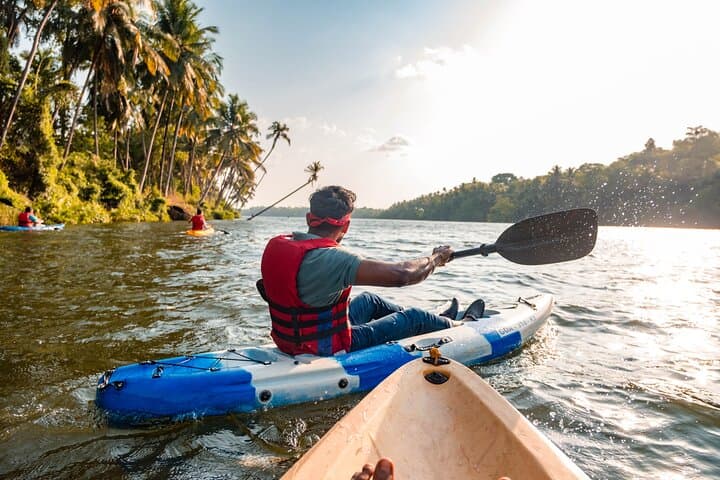 Chapora Backwater Kayaking: Paddle Mangroves & Wildlife in Goa