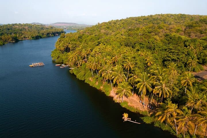 Chapora Backwater Kayaking: Paddle Mangroves & Wildlife in Goa photo 2