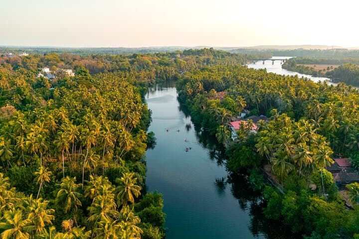 Chapora Backwater Kayaking: Paddle Mangroves & Wildlife in Goa photo 5