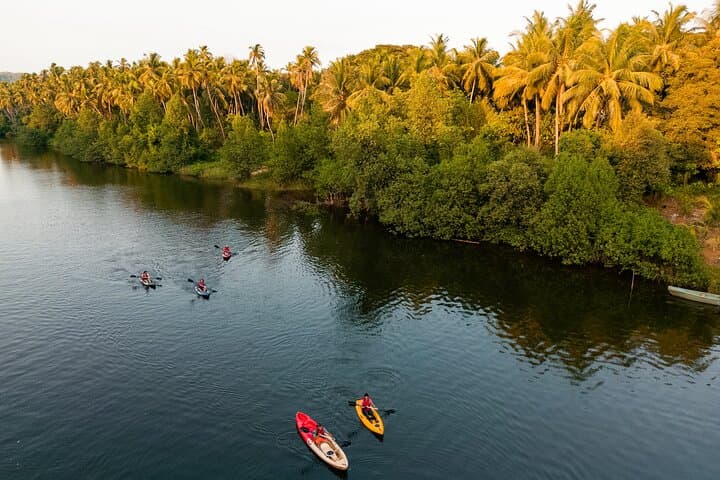 Chapora Backwater Kayaking: Paddle Mangroves & Wildlife in Goa photo 6