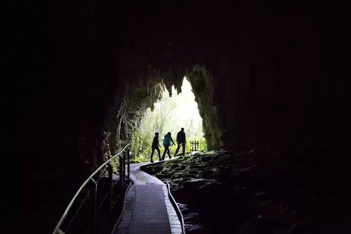 Waitomo Glowworm Cave Explorer from Hamilton — Small-Group Guided Tour photo 5