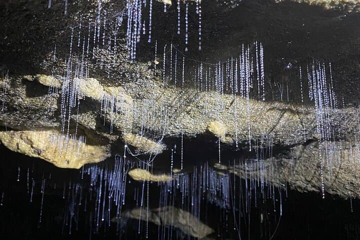 Waitomo Glowworm Cave Explorer: Small-Group Tour From Auckland photo 2