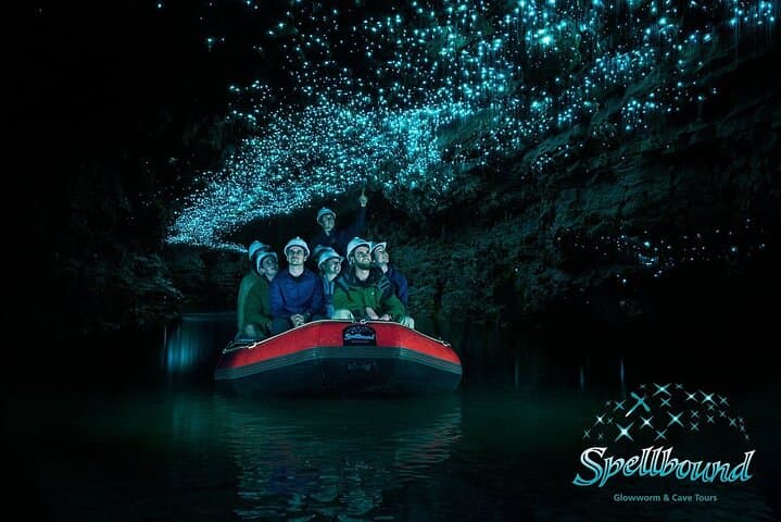 Waitomo Spellbound Glowworm Twin Caves Private Tour from Auckland