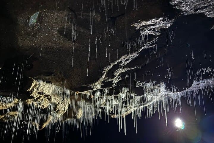 Waitomo Spellbound Glowworm Twin Caves Private Tour from Auckland photo 4