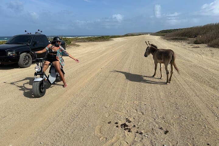 Electric Scooter Rental in Aruba — 4-Hour Eco-Friendly Island Explorer photo 3