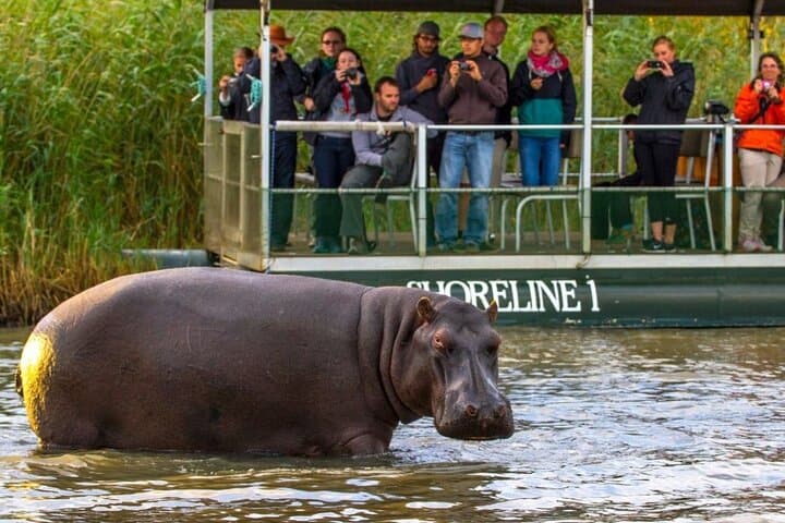 2-Day Hluhluwe & iSimangaliso Wetlands Safari from Durban — Big 5, Hippo & Croc Cruise photo 2