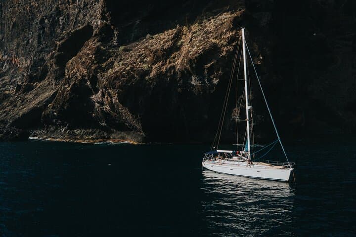 Whales, Cliffs & Tapas: Private Boat Excursion to Los Gigantes, Tenerife