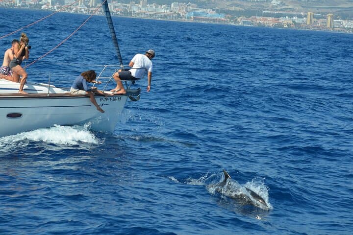 Whales, Cliffs & Tapas: Private Boat Excursion to Los Gigantes, Tenerife photo 4