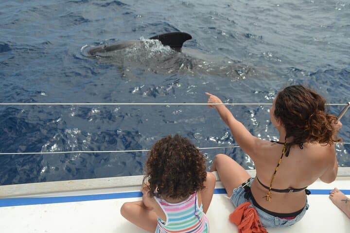 Whales, Cliffs & Tapas: Private Boat Excursion to Los Gigantes, Tenerife photo 5