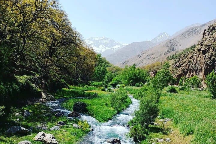 Ourika Valley Waterfalls Day Trip from Marrakech: Atlas Mountains Escape photo 2