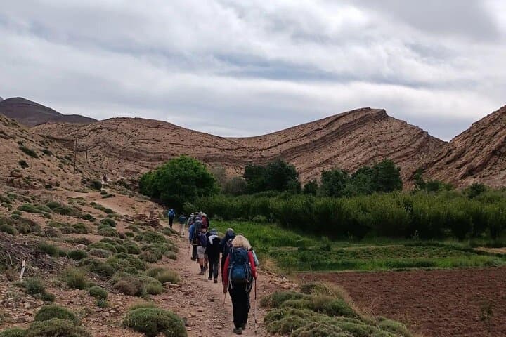 Ourika Valley Waterfalls Day Trip from Marrakech: Atlas Mountains Escape photo 4