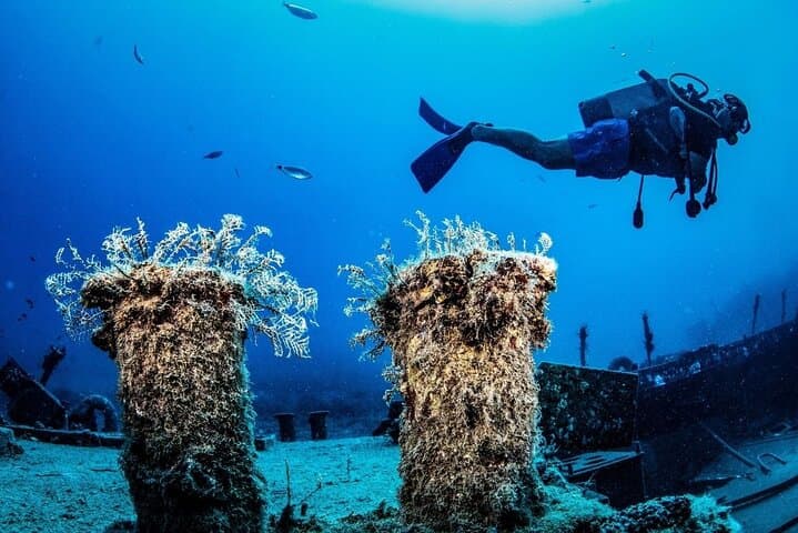 Side Underwater Museum Scuba Diving — Full-Day Dive with Transfer & Lunch photo 2