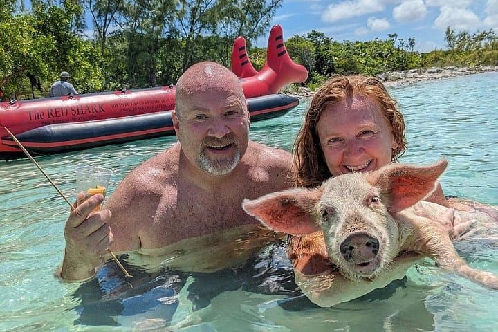Swim with Pigs and Snorkel the Exumas: Private 4-Hour Boat Tour from Nassau