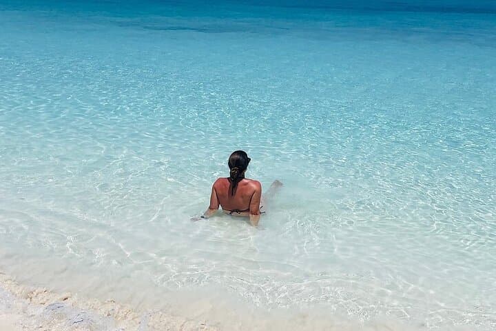 Private Rose Island Full-Day Cruise & Snorkel with Sea Turtles photo 3