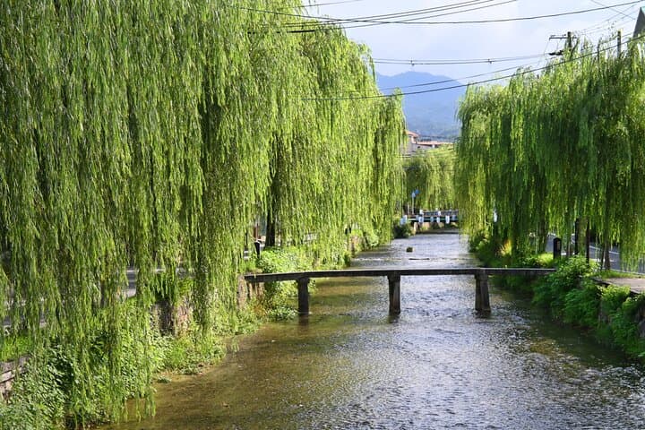 Explore Authentic Kyoto: Guided History & Culture Walking Tour photo 2