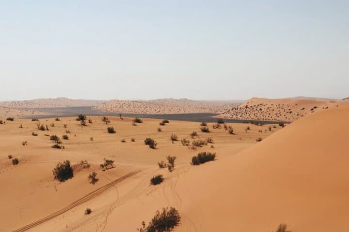 Riyadh Red Dunes VIP Quad Biking and Camel Riding — 3.5-Hour Desert Adventure photo 2