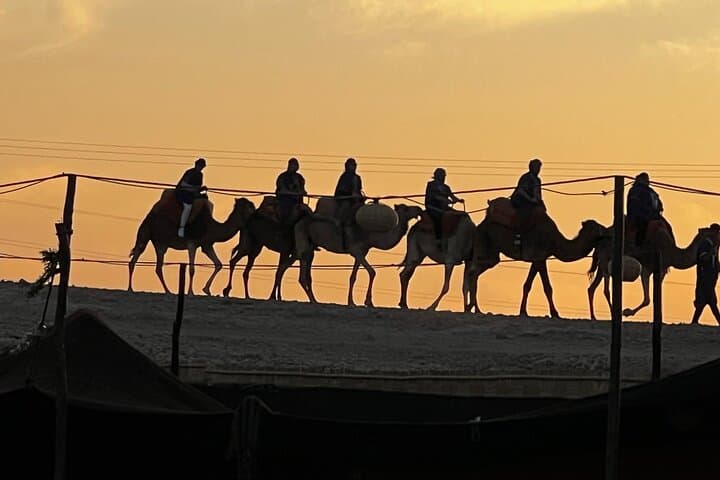 Sunrise Camel Ride and Nomad Breakfast in Agafay Desert Near Marrakech photo 4