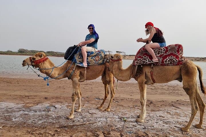 Sunset Camel Ride & Dinner at Habitant House — Agadir Eucalyptus Ranch Experience photo 2