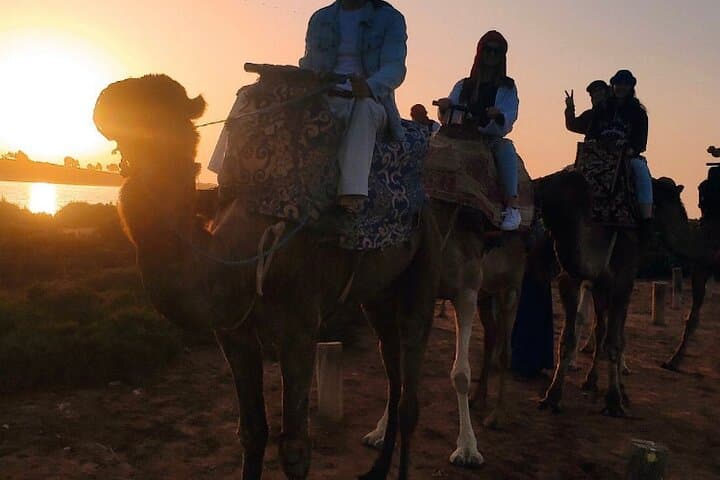 Sunset Camel Ride in Agadir: Private 2-Hour Eucalyptus & Souss River Experience photo 2