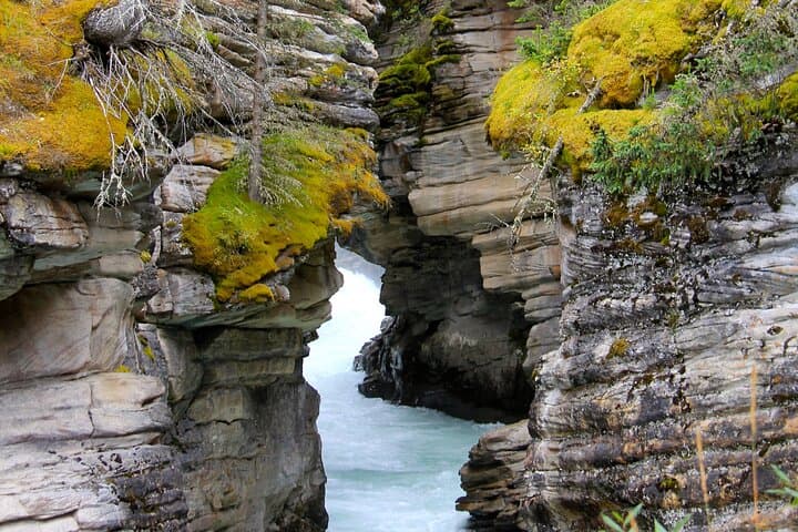 Private Spanish-Language Day Tour to Banff & Lake Louise from Calgary photo 5