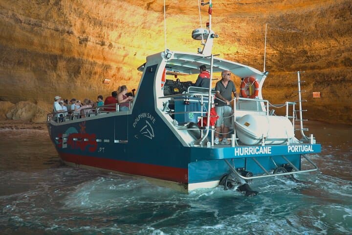 Benagil Cave & Dolphin Watch from Marina de Lagos — Guided Trip with Marine Biologist
