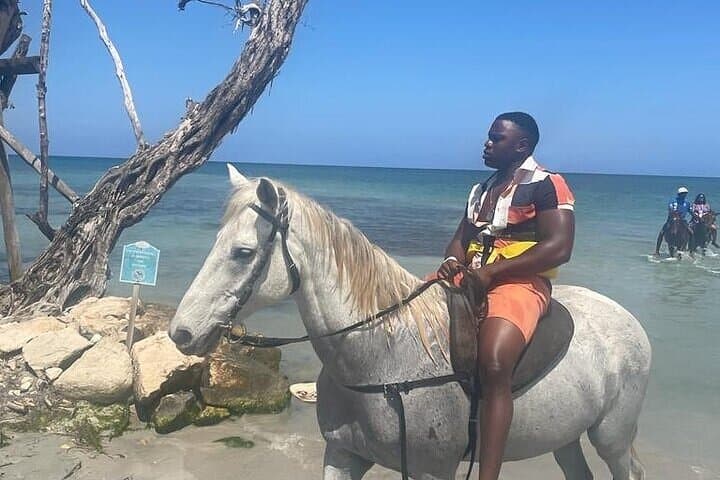 Dunns River Falls and Beach Horseback Ride: Private Ocho Rios Adventure photo 6