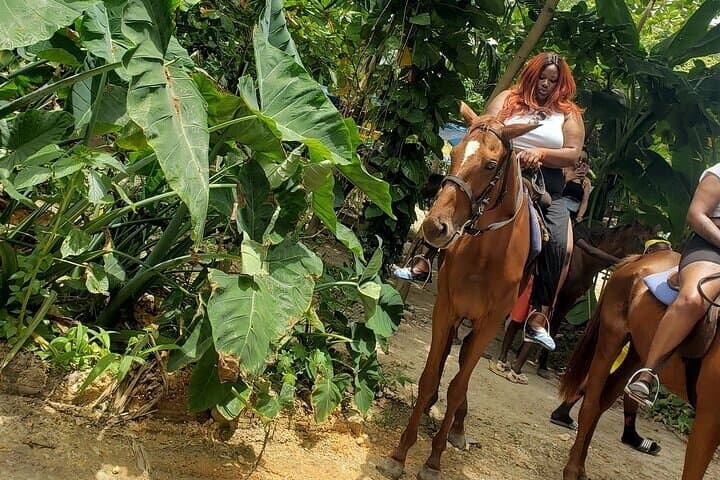 Dunns River Falls and Beach Horseback Ride: Private Ocho Rios Adventure photo 5
