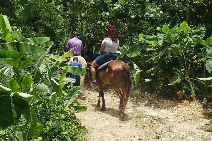Dunns River Falls and Beach Horseback Ride: Private Ocho Rios Adventure photo 3