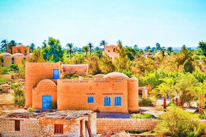 Private Fayoum Oasis Tour from Cairo — Wadi El-Rayan & Whale Valley Day Trip photo 1