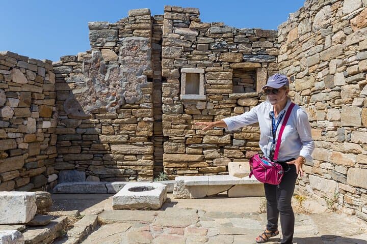 Ancient Delos Walking Tour: Private Guided Archaeological Walk from Mykonos photo 2