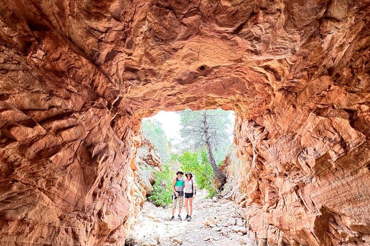 Private Guided Photography and Walking Tour in Zion National Park photo 2