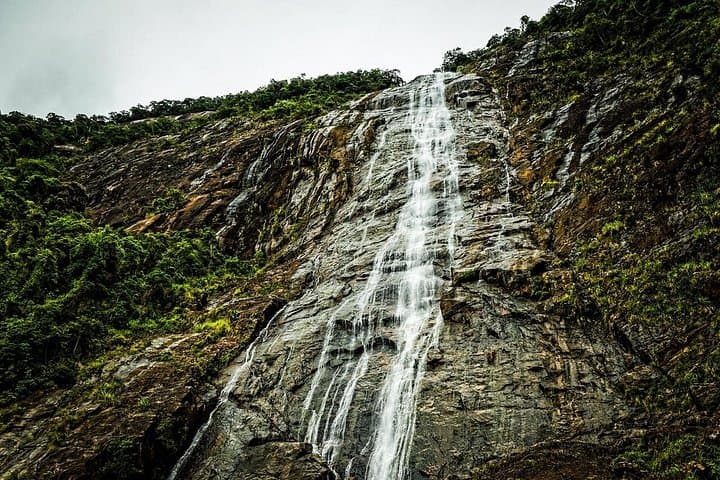 Full-Day Bach Ma National Park Trek and Lang Co Beach Retreat from Da Nang photo 3