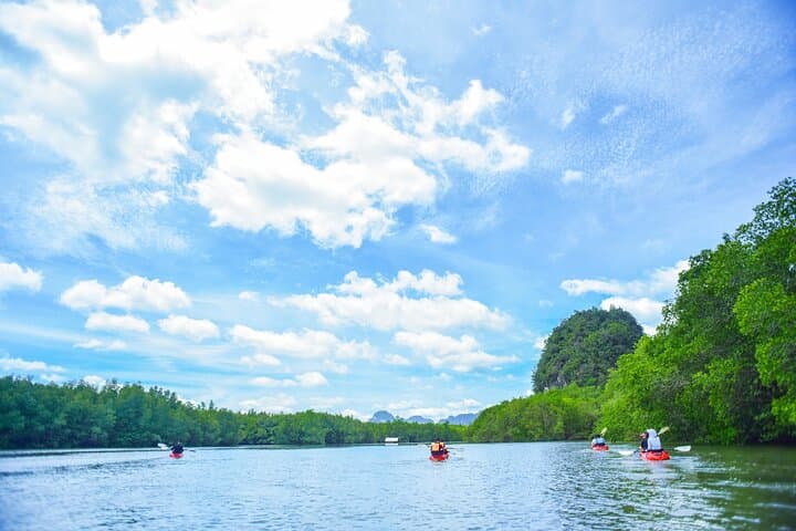 Krabi Bor Thor Sea Cave Kayaking: Explore Mangroves, Caves & Ancient Paintings photo 4