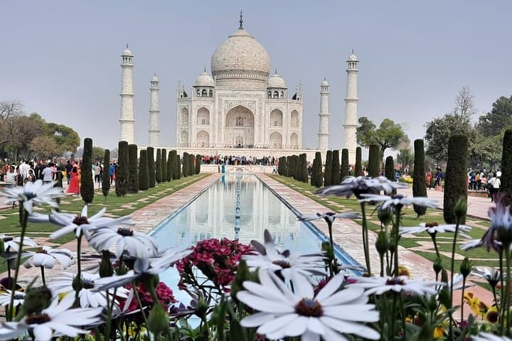 2-Day Taj Mahal, Agra Fort & Ranthambore Tiger Safari from Bangalore photo 2