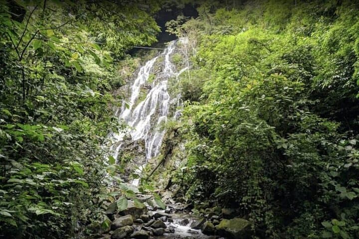 El Valle de Antón: Hot Springs, Waterfall & Wildlife Day Tour photo 3