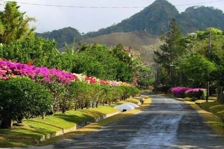 El Valle de Antón: Hot Springs, Waterfall & Wildlife Day Tour photo 4