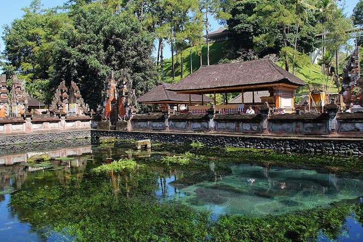 Ubud Full-Day Highlights: Monkey Forest, Tegalalang Rice Terrace & Tirta Empul (Private Tour) photo 6