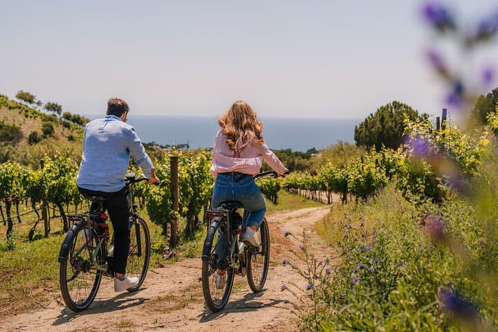 Beach Ride to Alella Vineyards: E‑Bike Wine Tasting from Barcelona photo 4