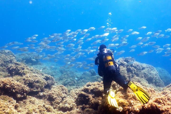 Scuba Diving in Pefkos, Lindos — Try Dives & Guided Mediterranean Dives on Rhodes