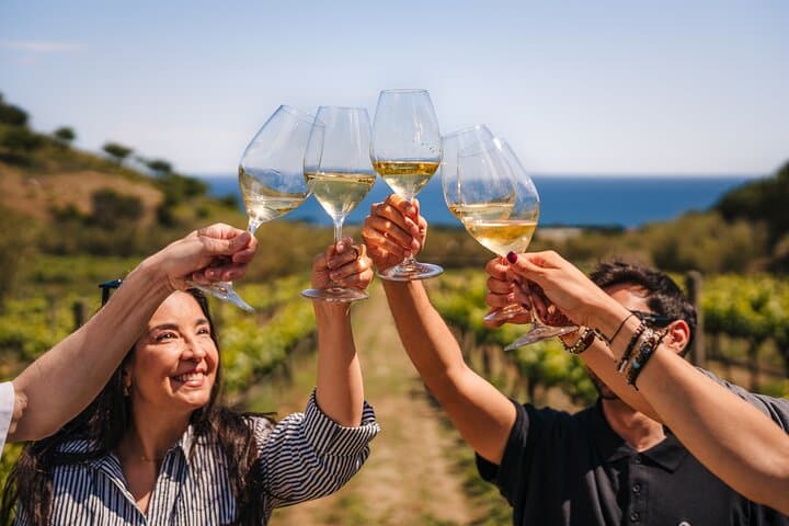 Beach Ride to Alella Vineyards: E‑Bike Wine Tasting from Barcelona photo 6