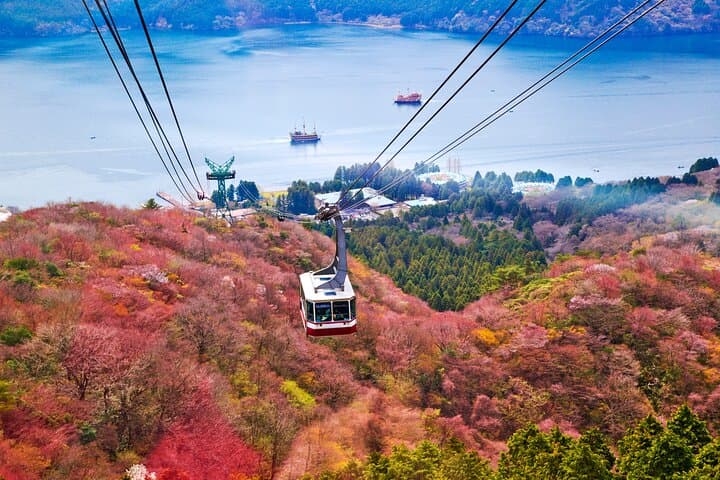 Mount Fuji & Hakone Private Day Trip with English Driver — From Tokyo photo 4