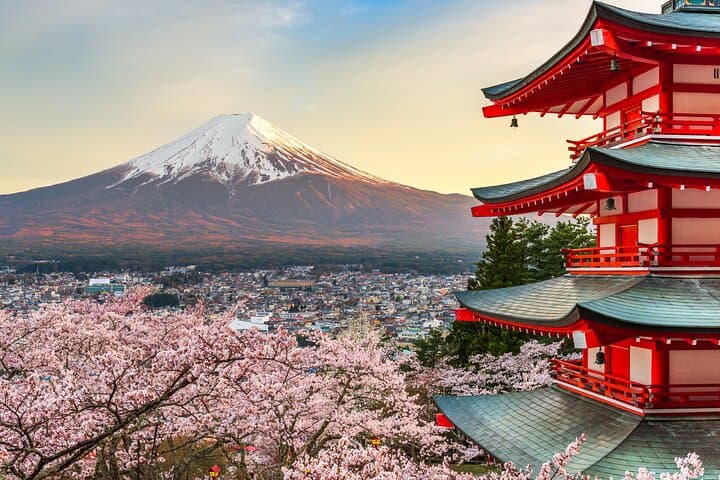 Mount Fuji & Hakone Private Day Trip with English Driver — From Tokyo photo 6