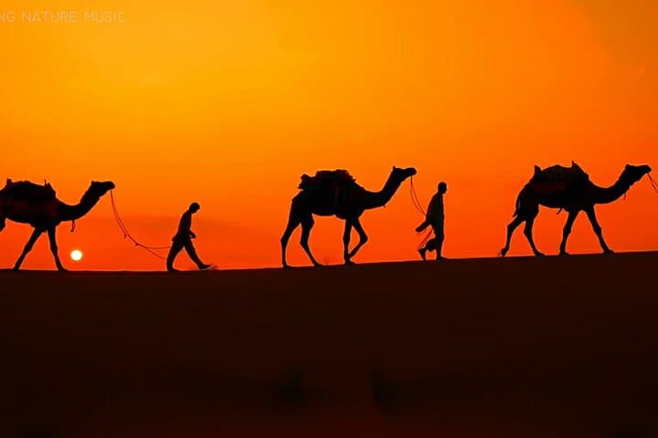 Doha Desert Safari: Dune Bashing, Camel Ride & Inland Sea Adventure photo 2