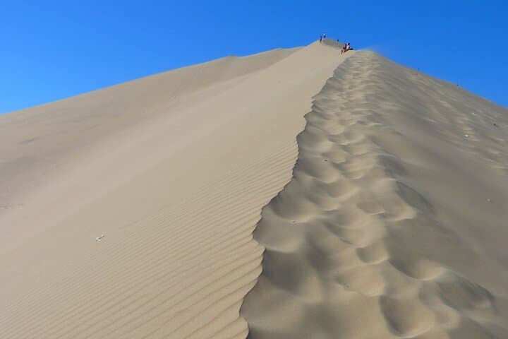 Doha Desert Safari: Dune Bashing, Camel Ride & Inland Sea Adventure photo 4