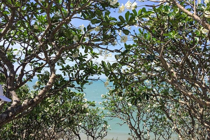 Vung Tau Coastal Escape: Full-Day Beach Trip from Ho Chi Minh City photo 3