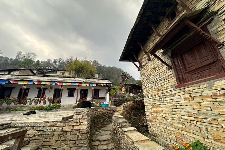 4-Day Mardi Himal Trek: Pokhara to Base Camp via Forest & High Camp photo 2